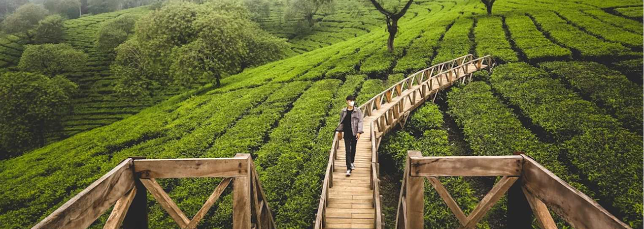 Destinasi Wisata